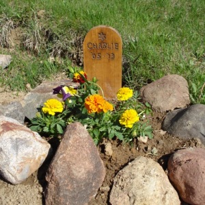 Charlie's grave